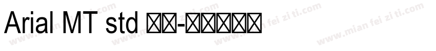 Arial MT std 粗体字体转换